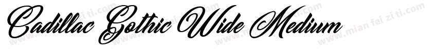 Cadillac Gothic Wide Medium字体转换